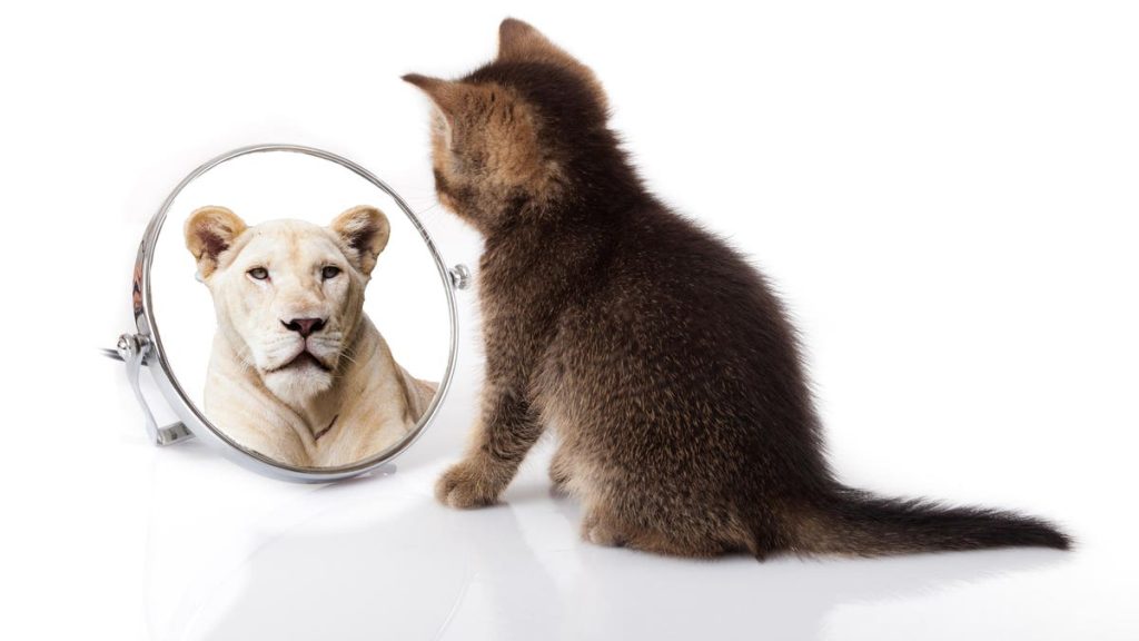 Do You Have Micro-Courage With Your Leadership?