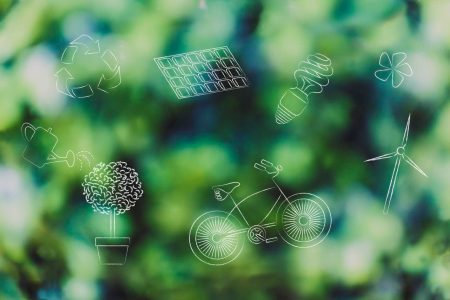 Why The Green Economy Is Booming And How You Can Jump On Board