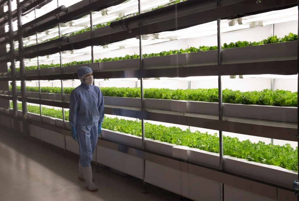 Food From Fukushima : Restoring Trusts Using AgriTech