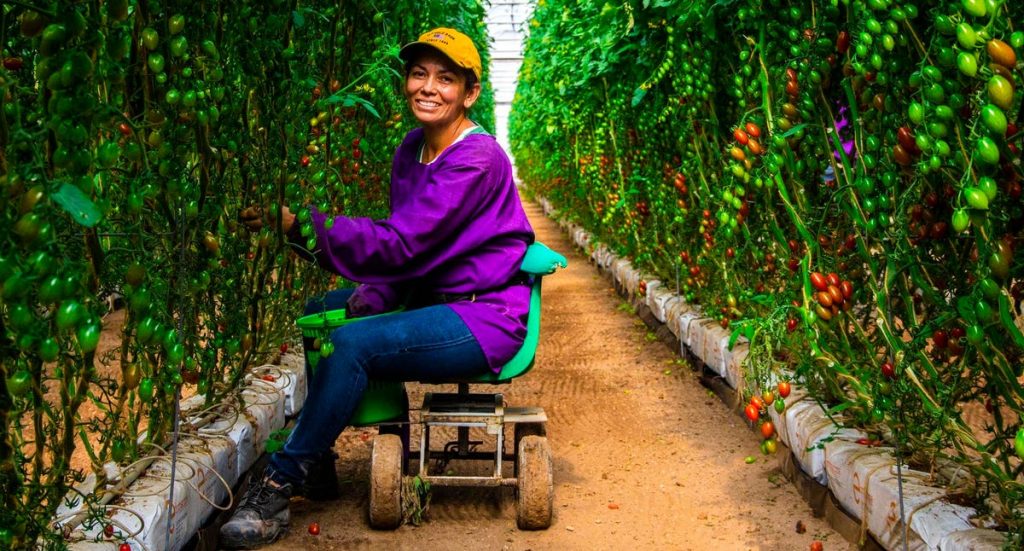 NatureSweet Is Raising The Bar For Agricultural Labor Standards