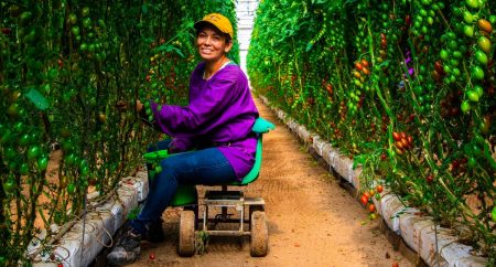 NatureSweet Is Raising The Bar For Agricultural Labor Standards