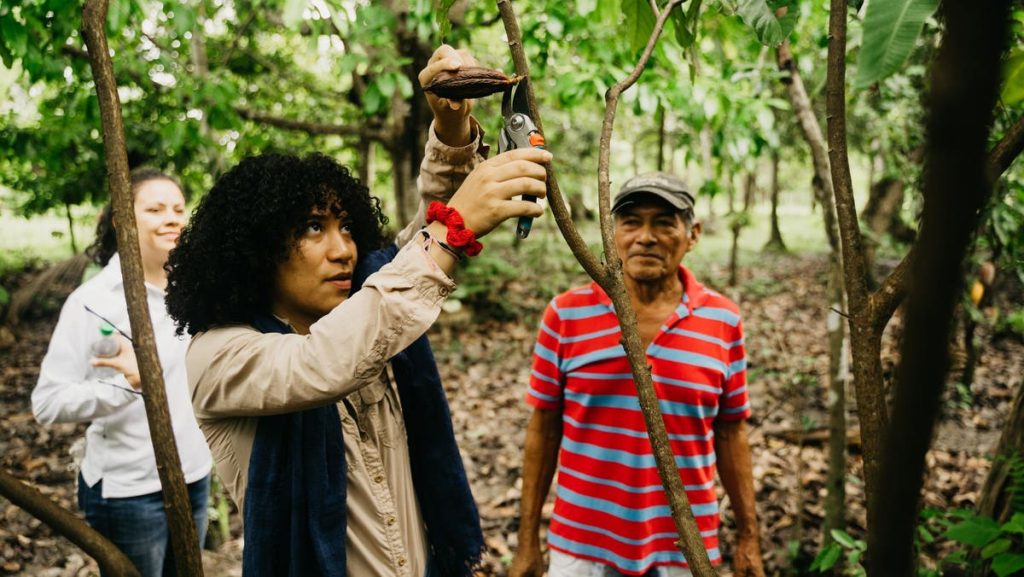 Making The World A Better Place Using Chocolate As A Tool For Change