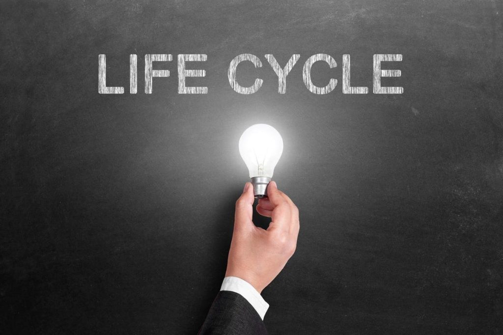 The Four Stages Of The Franchisee Lifecycle