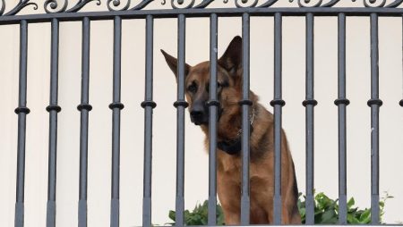 Creepy Viral Story About President Biden’s Dog Commander Is Fake