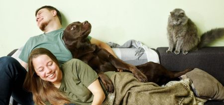Can Dog And Cat People Make It Work In A Relationship? A Psychologist Explains