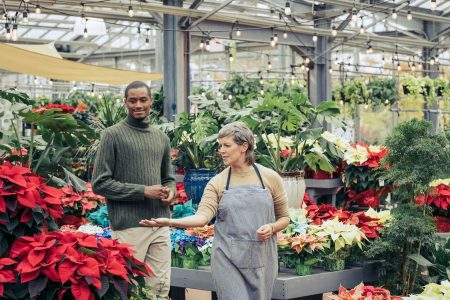 Seasonal Promotion Strategies For Plant Nurseries