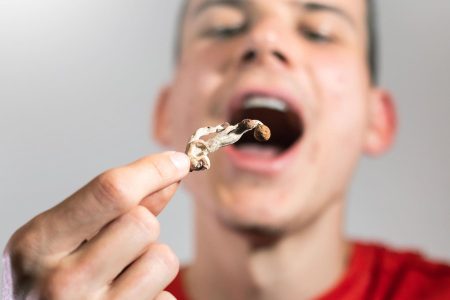 Legal Considerations, Testing Options, And Employer Policies