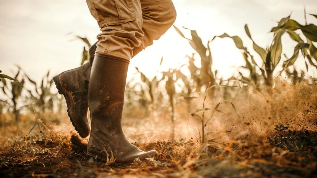 Lessons From People Who Love Their Jobs