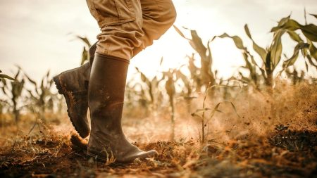 Lessons From People Who Love Their Jobs